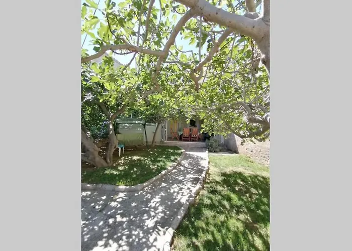 Heritage Stone House By The Sea פרוויץ' שפורינה